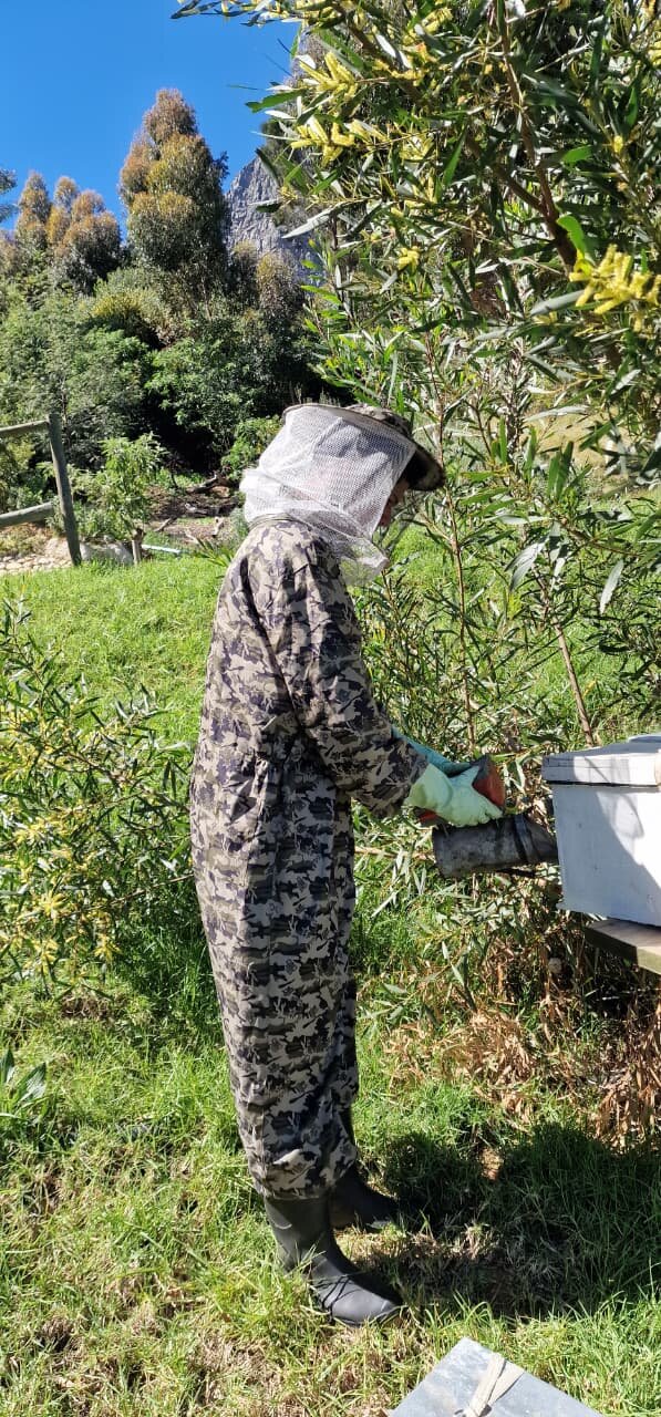 Beekeeper in full PPE using a smoker at a hive