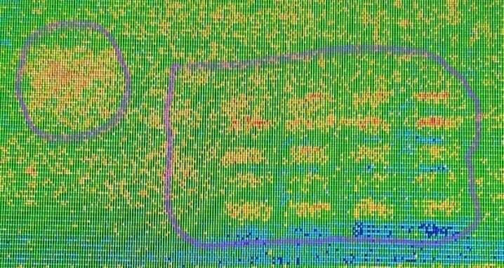 Thermal camera scan showing the heat signature of a hive