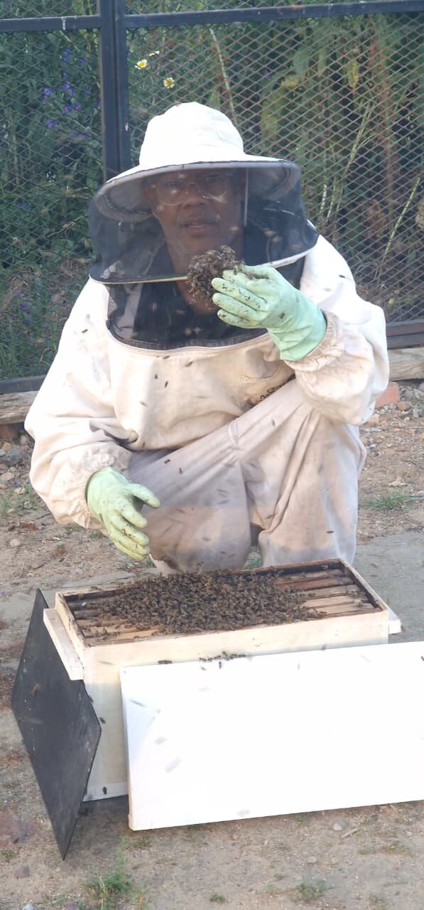 Ulrich Cupido in full beekeeping PPE, holding a frame of comb at an open hive